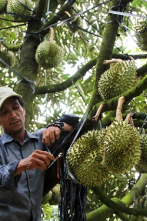 Anh Đinh Văn Bình