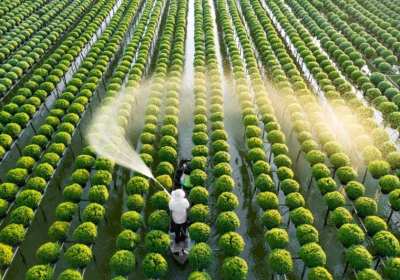 Mở lối cho nông nghiệp công nghệ cao 