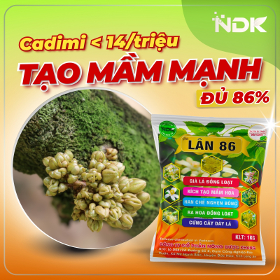 LÂN 86 | 1KG