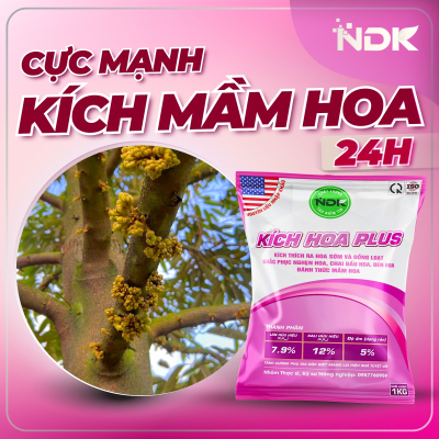 KÍCH HOA PLUS | 1KG