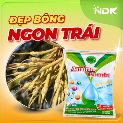 AMINO COMBI | 250G