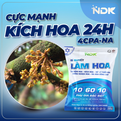 BÍ QUYẾT LÀM HOA | 500G