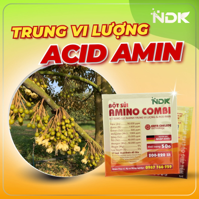 BỘT SỦI AMINO COMBI | 50G