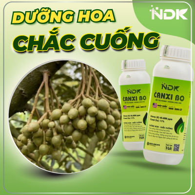 NDK CANXI BO 1000 | 1L