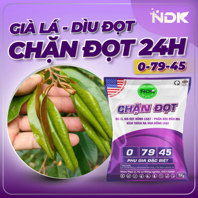 CHẶN ĐỌT 0-79-45 | 1KG