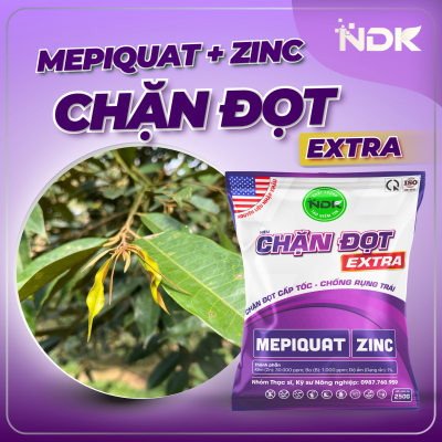 CHẶN ĐỌT EXTRA | 250G