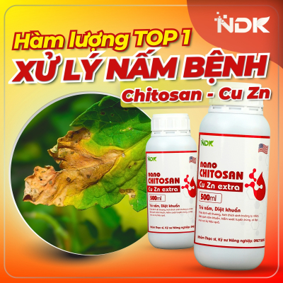 NANO CHITOSAN CUZN | 500ML