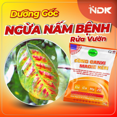 ĐỒNG CANXI MAGIE KẼM | 1KG