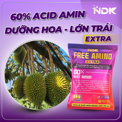FREE AMINO | 250G