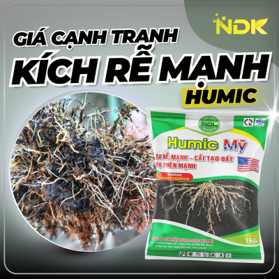 HUMIC MỸ | 1KG