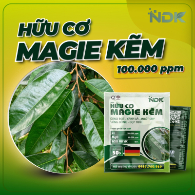 HỮU CƠ MAGIE KẼM | 50G