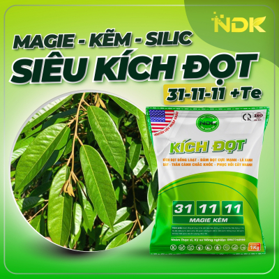 KÍCH ĐỌT 31-11-11 + TE | 1KG