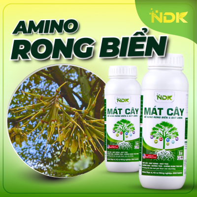 MÁT CÂY | 1000ML