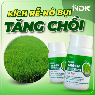 NANO GREEN | 500ML