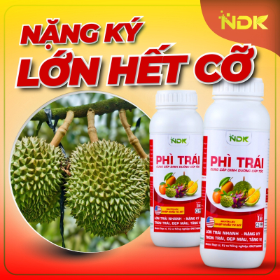 PHÌ TRÁI | 1000ML