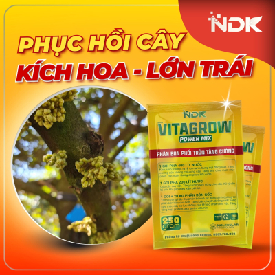 POWER MIX VITAGROW | 250G