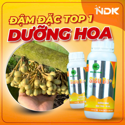 SIÊU BO PLUS | 500ML