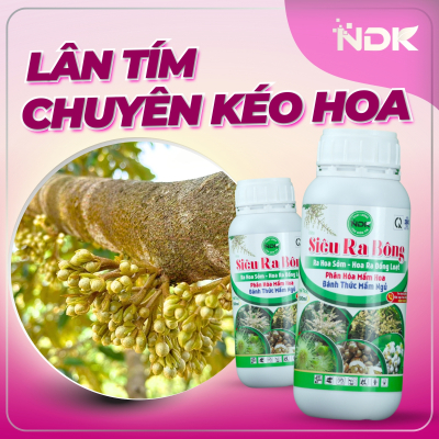 SIÊU RA BÔNG | 500ML