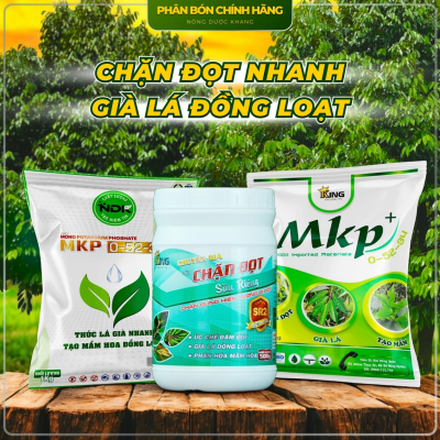 BỘ PHÂN BÓN CHẶN ĐỌT TRÁI NON