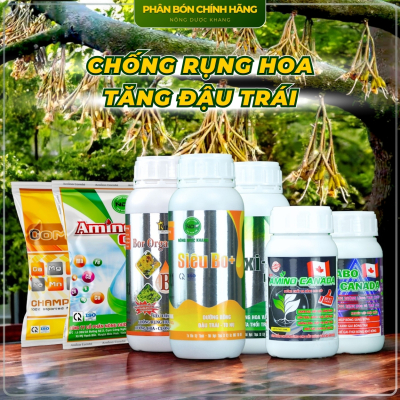 BỘ PHÂN BÓN DƯỠNG BÔNG TĂNG ĐẬU TRÁI NON