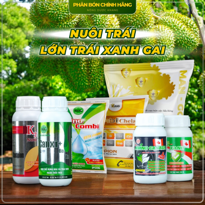 BỘ PHÂN BÓN LỚN TRÁI XANH GAI