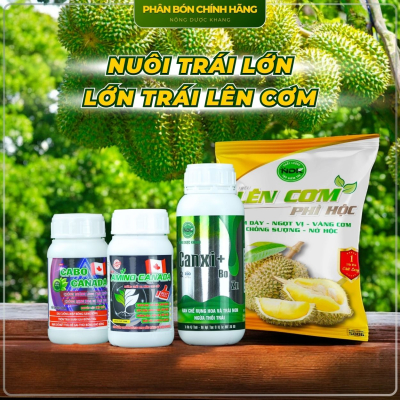 BỘ PHÂN BÓN LỚN TRÁI