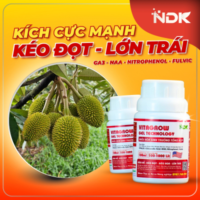 VITAGROW GEL | 100ML
