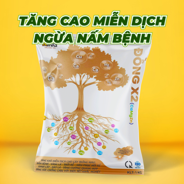 ngừa sâu bệnh