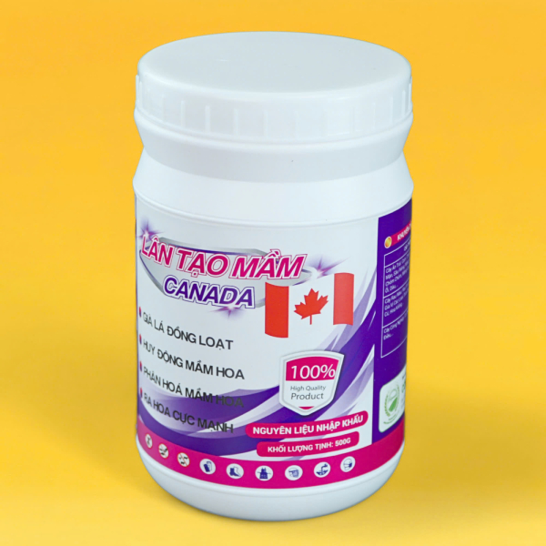 tạo mầm sầu riêng