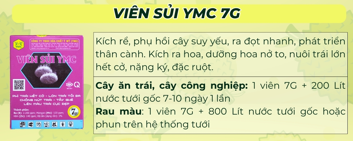 phân bón sầu riêng