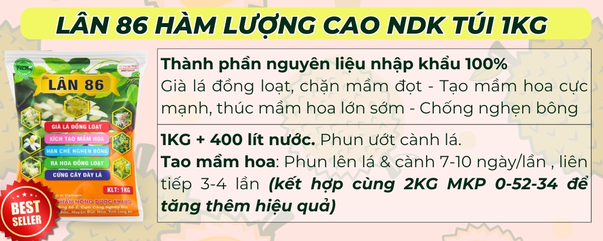 phân bón sầu riêng
