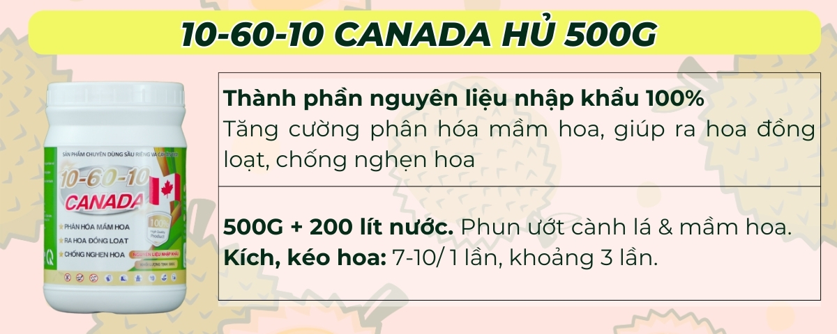 phân bón sầu riêng