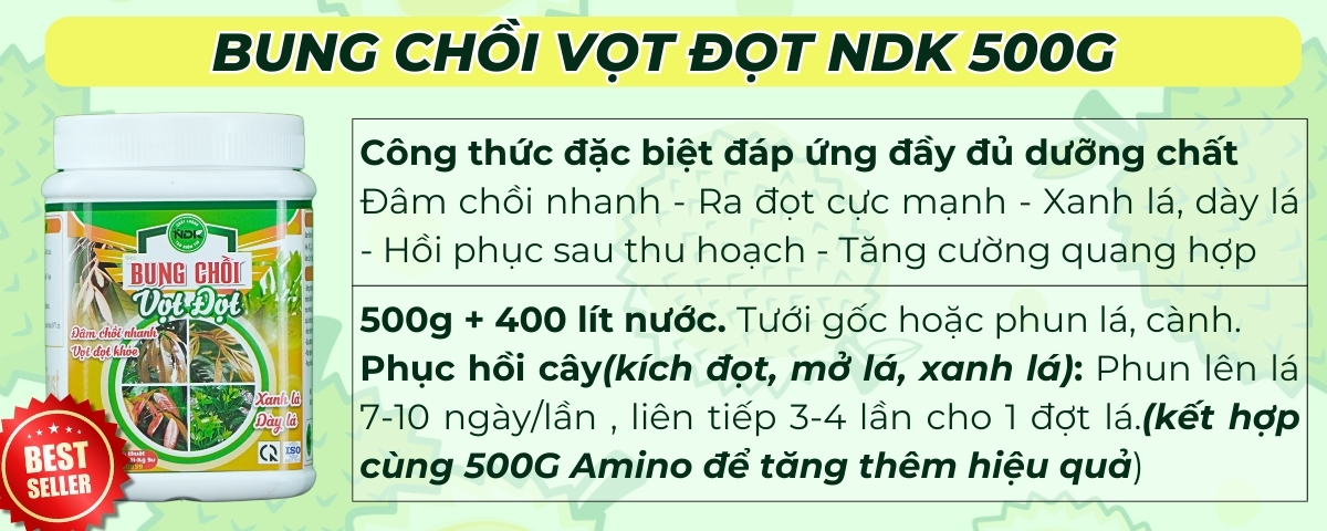 phân bón sầu riêng