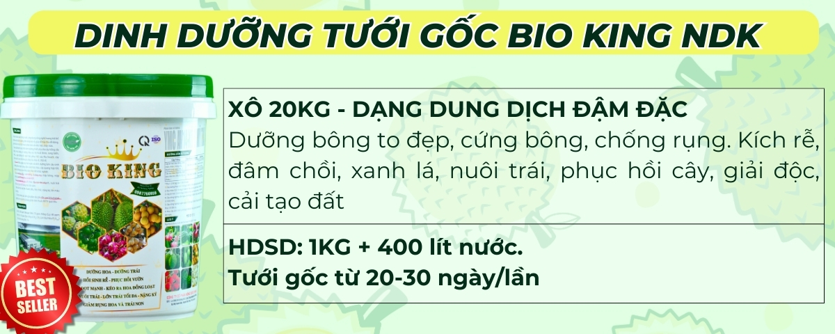 phân bón sầu riêng