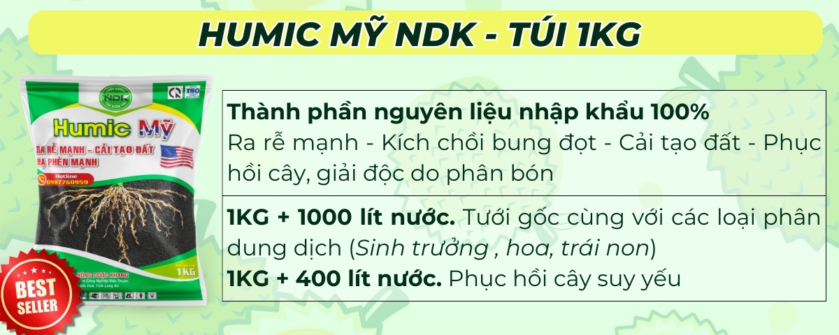 phân bón sầu riêng