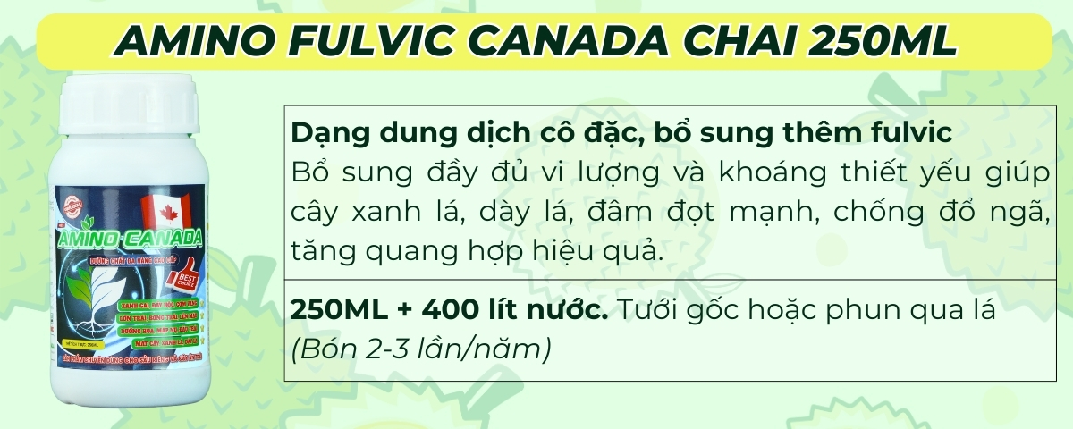 phân bón sầu riêng