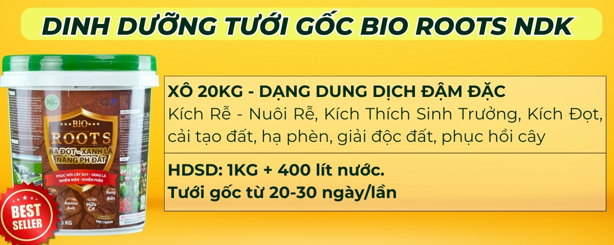 phục hồi sau thu hoạch