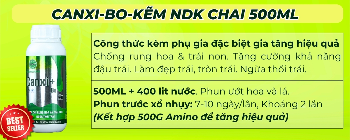 BÓN GỐC CHO CÂY ĂN QUẢ ĐÚNG CÁCH & TIẾT KIỆM