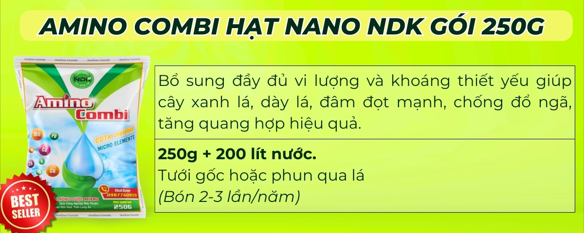 BÓN GỐC CHO CÂY ĂN QUẢ ĐÚNG CÁCH & TIẾT KIỆM