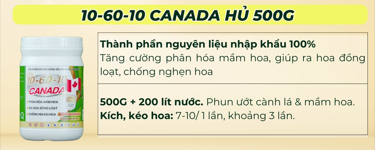 BÓN GỐC CHO CÂY ĂN QUẢ ĐÚNG CÁCH & TIẾT KIỆM