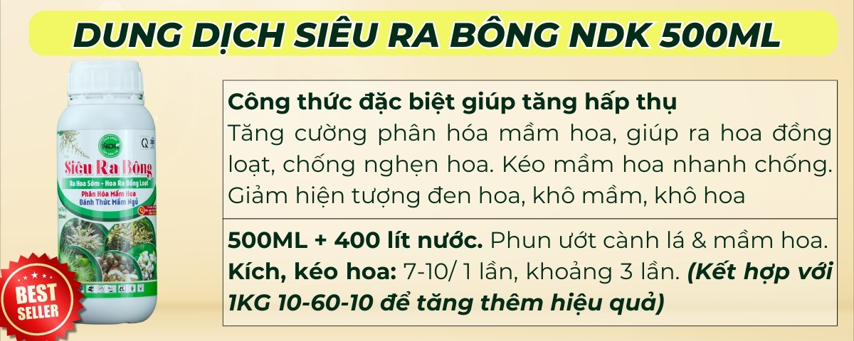 BÓN GỐC CHO CÂY ĂN QUẢ ĐÚNG CÁCH & TIẾT KIỆM