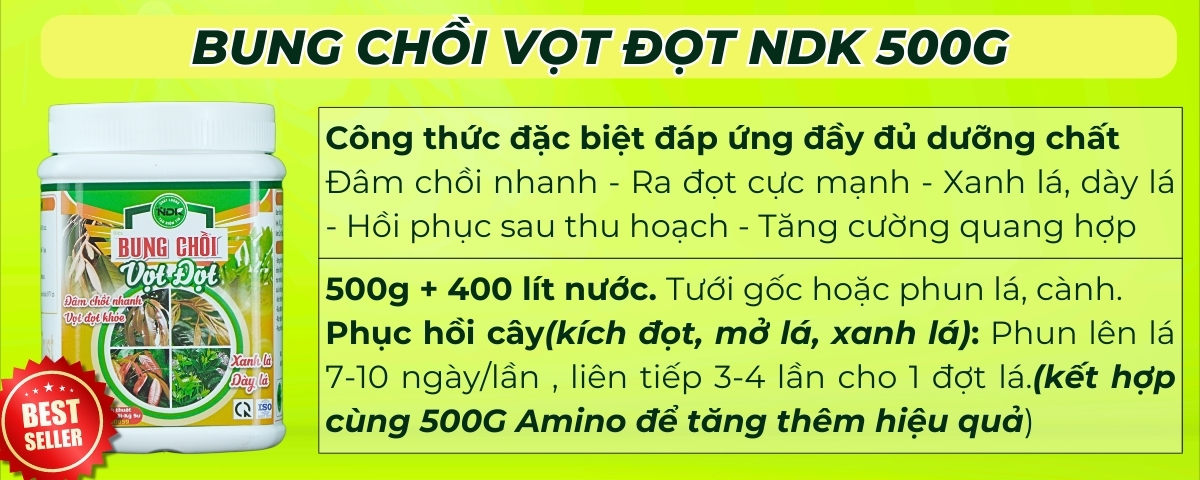 BÓN GỐC CHO CÂY ĂN QUẢ ĐÚNG CÁCH & TIẾT KIỆM