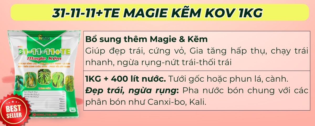 BÓN GỐC CHO CÂY ĂN QUẢ ĐÚNG CÁCH & TIẾT KIỆM