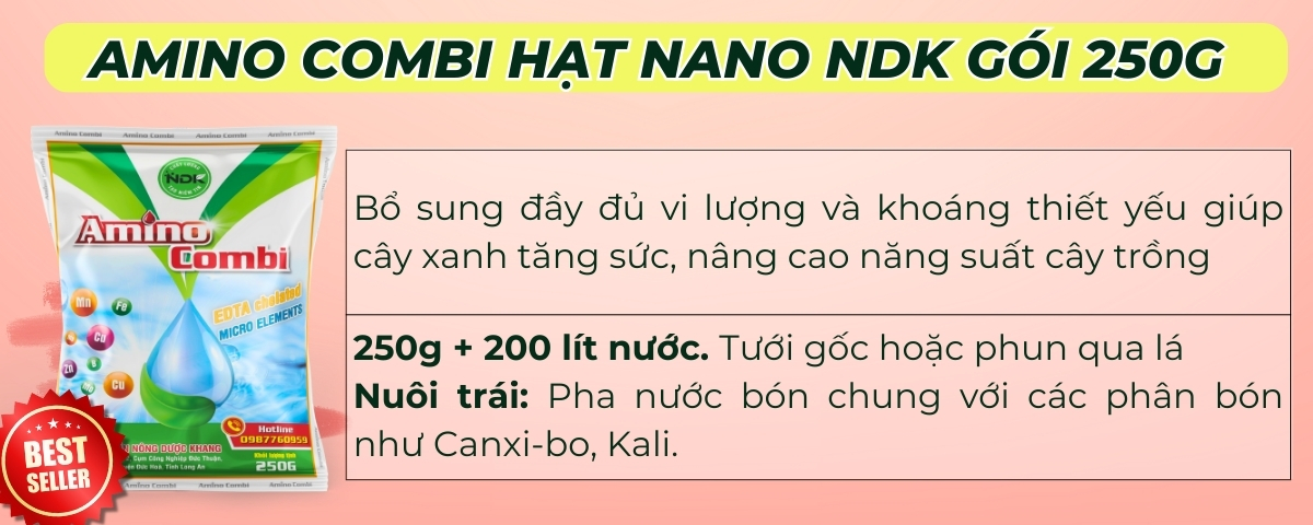 BÓN GỐC CHO CÂY ĂN QUẢ ĐÚNG CÁCH & TIẾT KIỆM