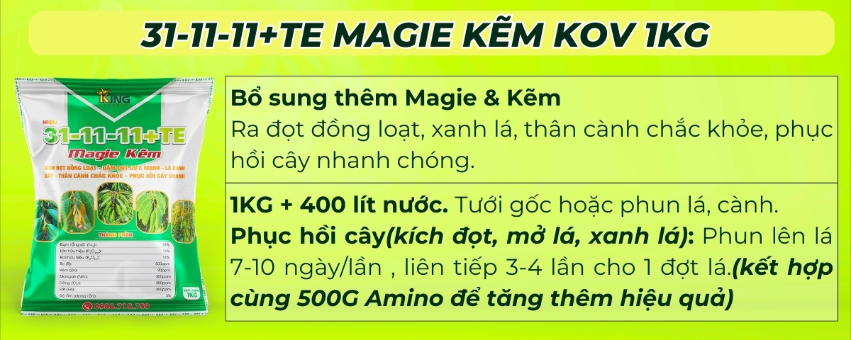 BÓN GỐC CHO CÂY ĂN QUẢ ĐÚNG CÁCH & TIẾT KIỆM