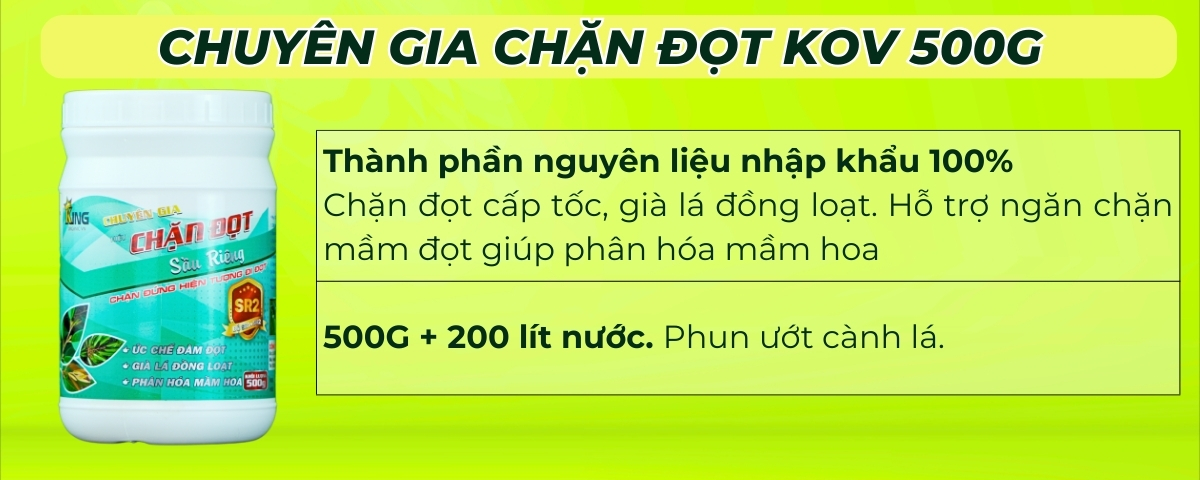 BÓN GỐC CHO CÂY ĂN QUẢ ĐÚNG CÁCH & TIẾT KIỆM