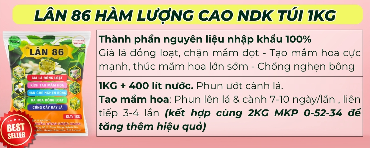 phân bón tạo mầm hoa