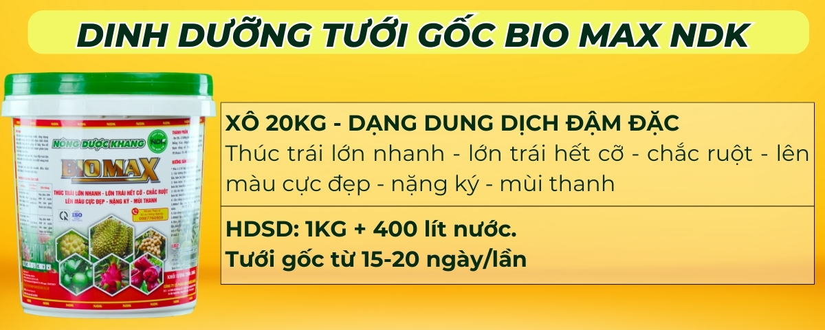 phân bón dinh dưỡng bón gốc