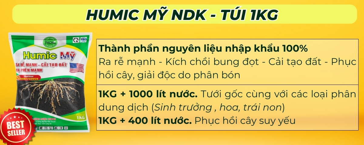 phục hồi sau thu hoạch