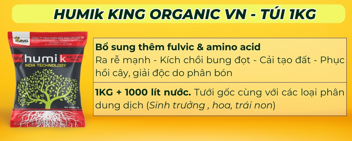 phân bón gốc cây ăn quả